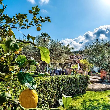 B&B Villa Bency Capo d'Orlando Luaran gambar