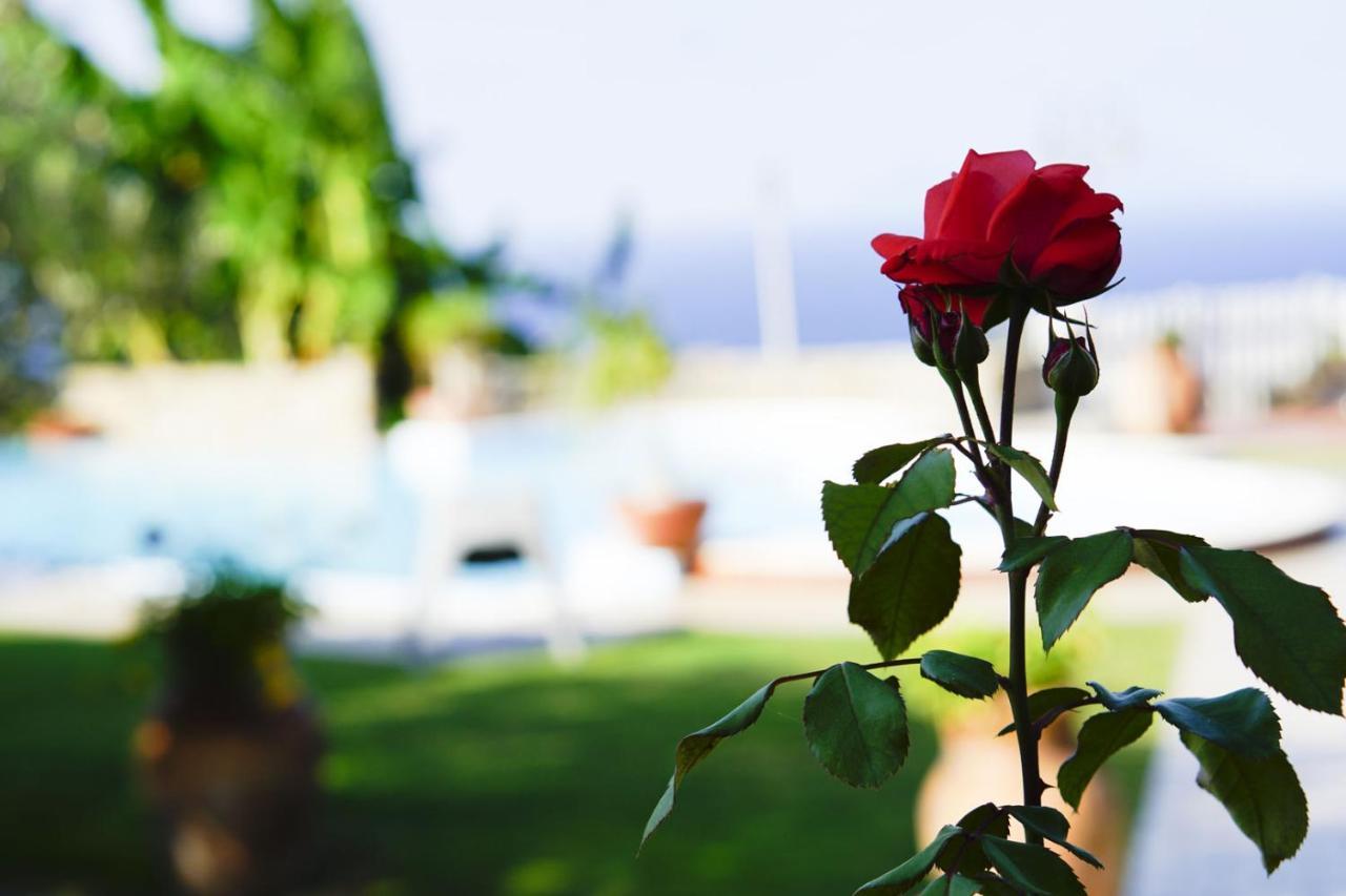 B&B Villa Bency Capo d'Orlando Luaran gambar